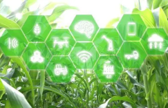 互联网+“绿色农业”，推动农产品发展新模式